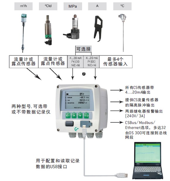 DS300 在線記錄儀